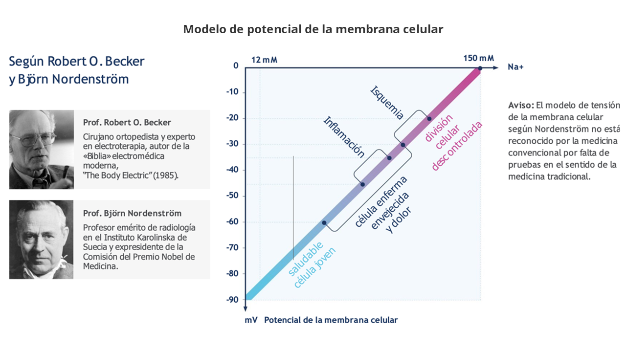 Frecuencias Cuánticas Analizadas